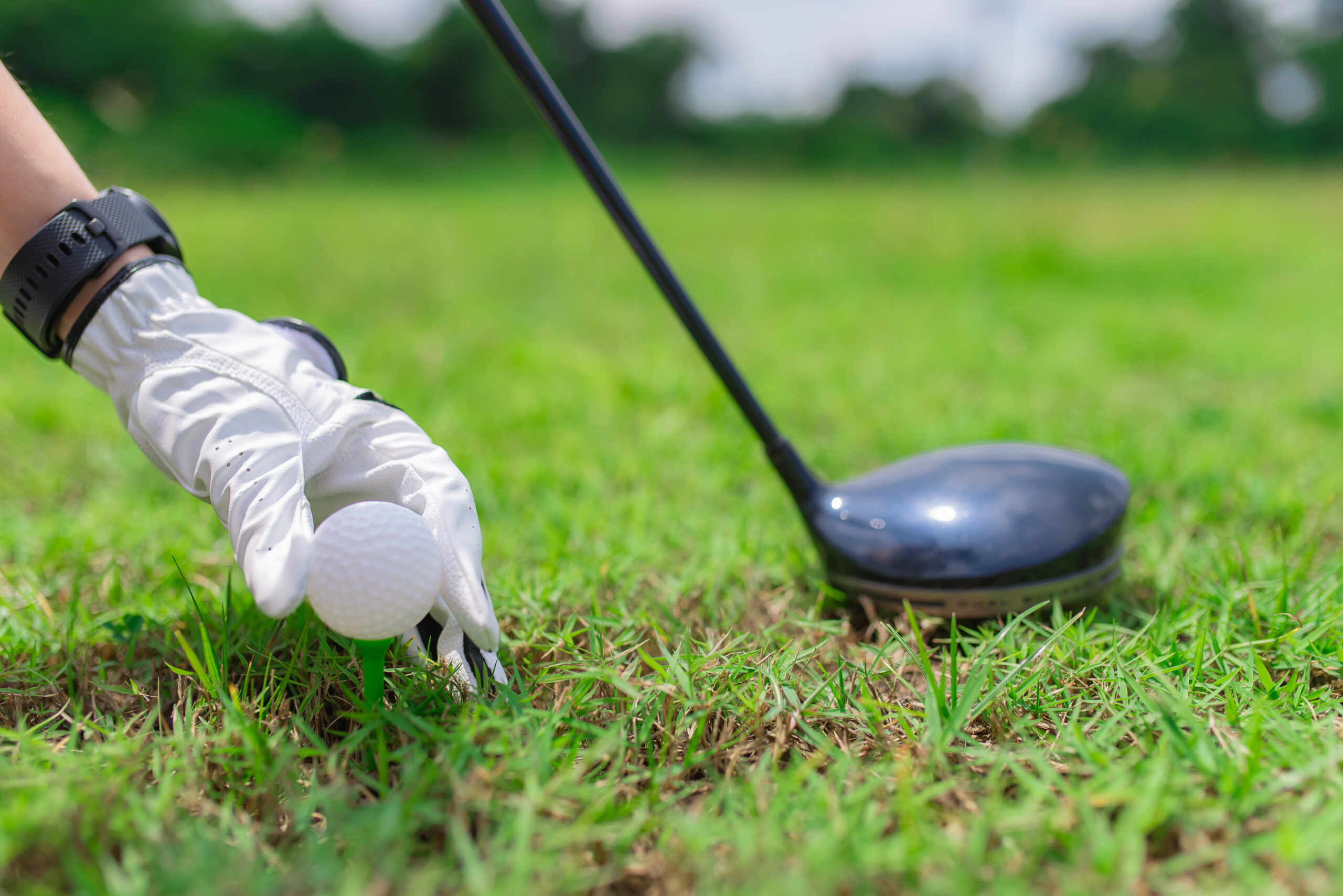 golf player placing